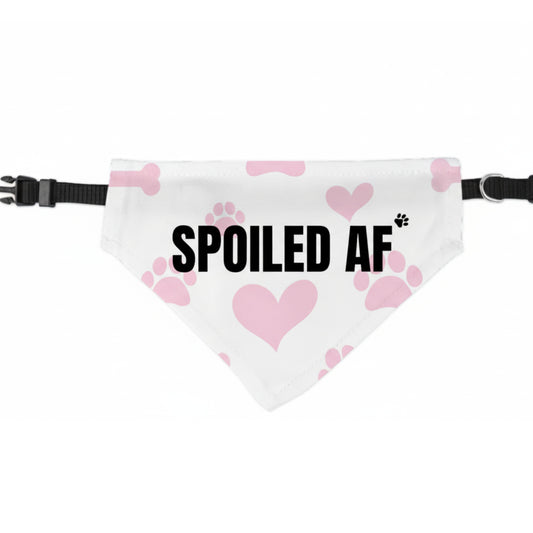 Pawfensive SPOILED AF Collared Bandana for Sassy Pets